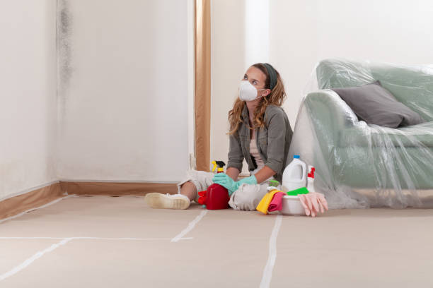 Reliable Black Mold Removal contractor in Converse, TX by WQB Mold Removal